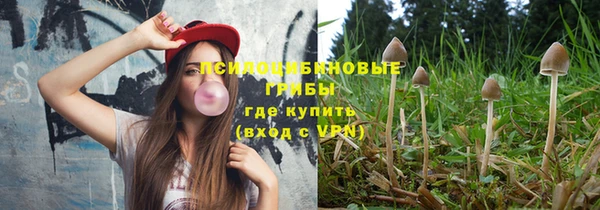 Альфа ПВП Богданович