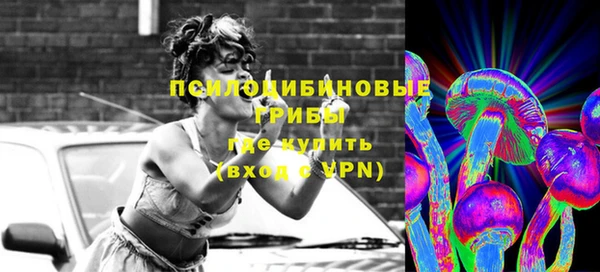 ГАЛЛЮЦИНОГЕННЫЕ ГРИБЫ Богородицк