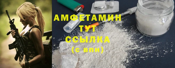 шишки Белоозёрский
