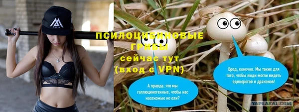 ГАЛЛЮЦИНОГЕННЫЕ ГРИБЫ Богородицк