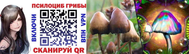 Галлюциногенные грибы Psilocybine cubensis  Видное 